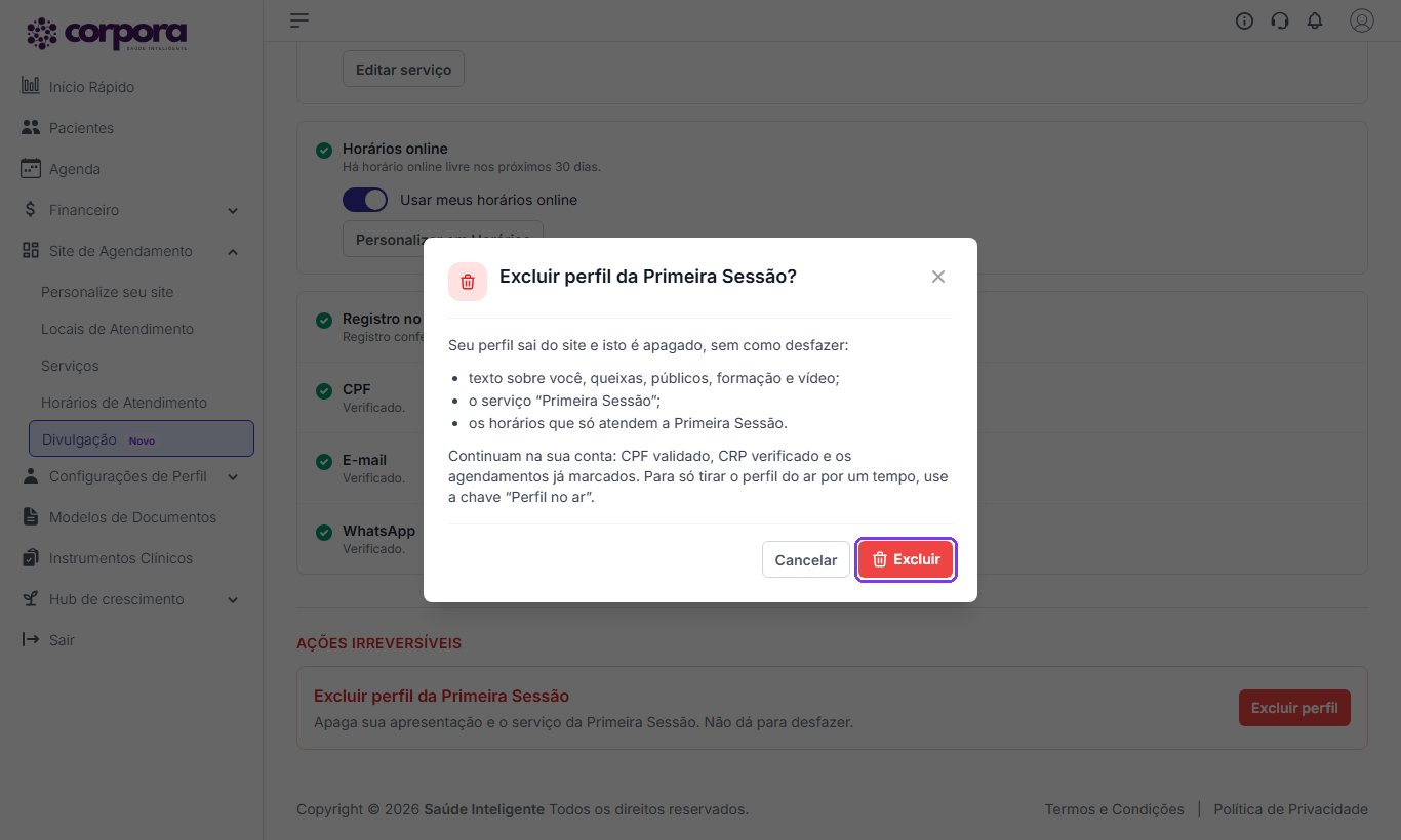 Diálogo Excluir perfil da Primeira Sessão aberto com a lista do que é apagado e do que continua na conta, e o botão Excluir destacado