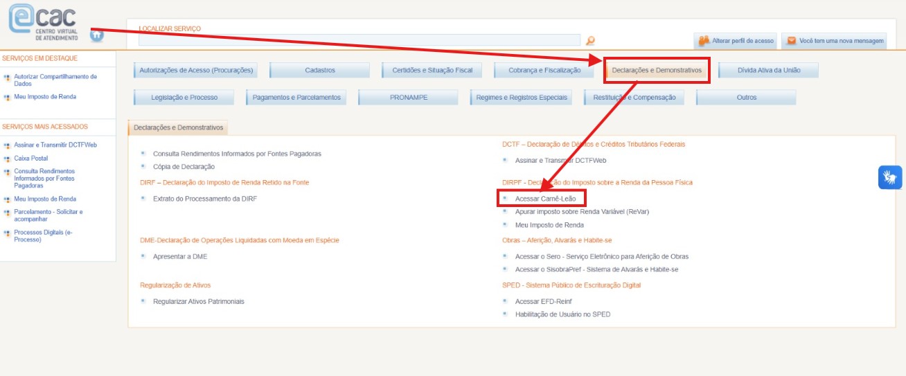 Passo 6 - Acesso ao Carnê-Leão