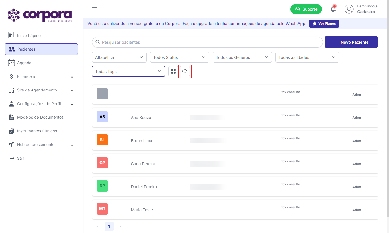 Botão de download CSV
