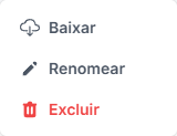 Menu de ações: Baixar, Renomear, Excluir